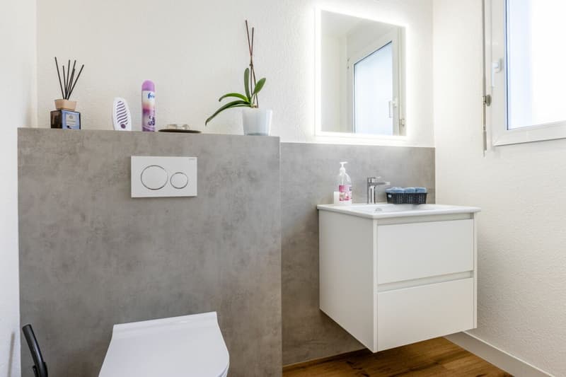 Maison individuelle détachée, moderne avec beaucoup d'espace pour vivre, les loisirs et les affaires (12)