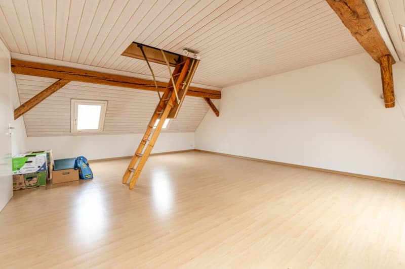 Potential-rich farmhouse with three residential units and barn (15)