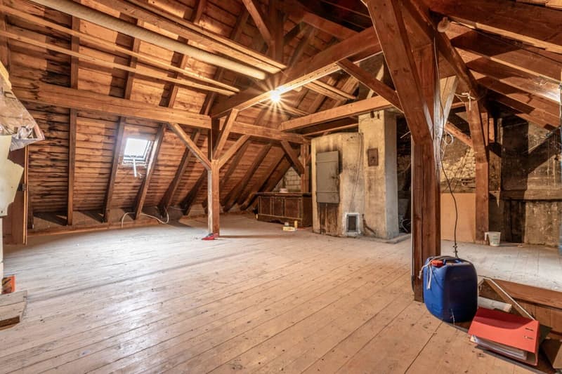 Potential-rich farmhouse with three residential units and barn (34)