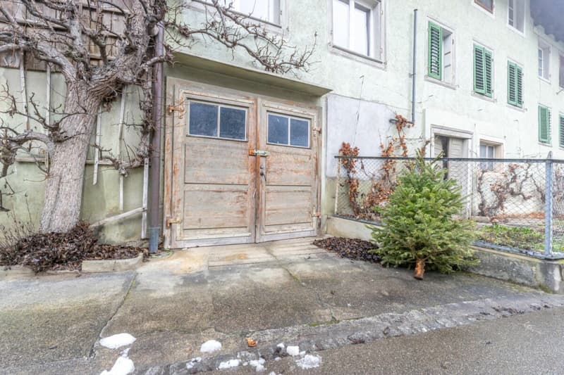 Potential-rich farmhouse with three residential units and barn (50)