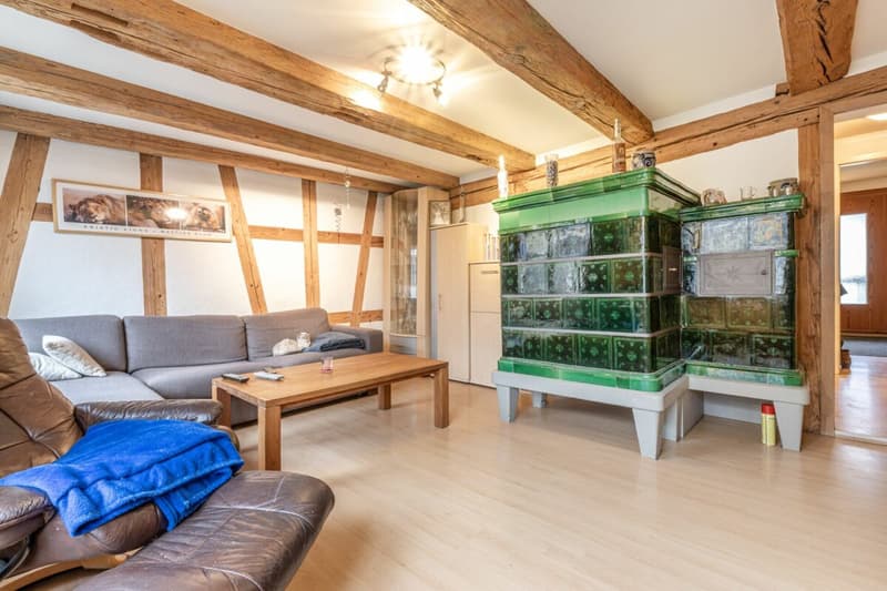 Potential-rich farmhouse with three residential units and barn (6)