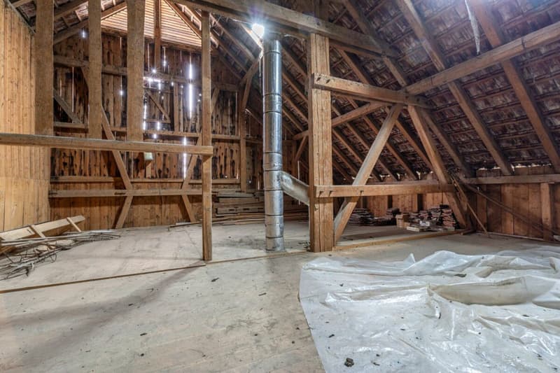 Potential-rich farmhouse with three residential units and barn (47)