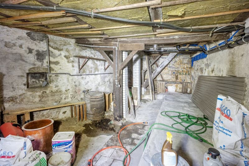 Potential-rich farmhouse with three residential units and barn (48)
