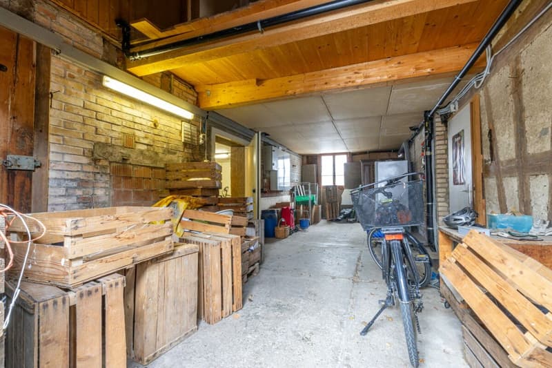 Potential-rich farmhouse with three residential units and barn (45)