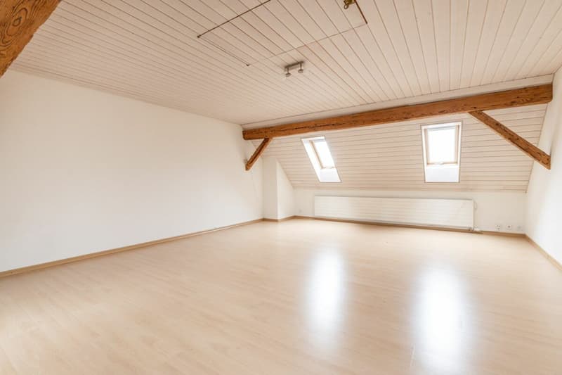 Potential-rich farmhouse with three residential units and barn (13)