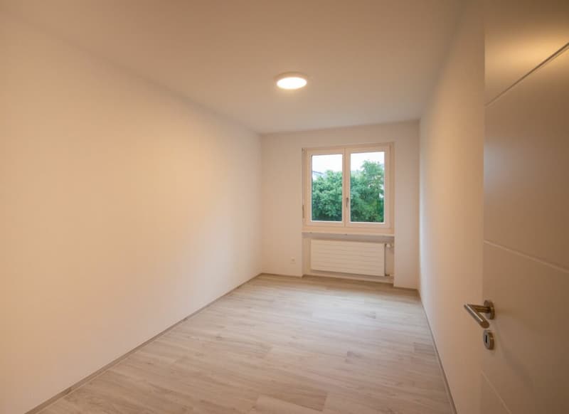 Totally renovated 3.5-room apartment with garage box in a quiet cul-de-sac (8)