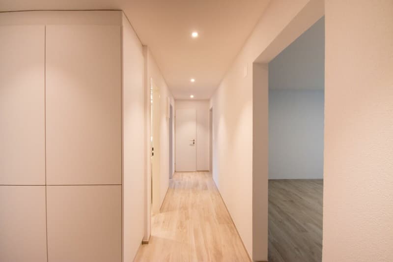 Totally renovated 3.5-room apartment with garage box in a quiet cul-de-sac (5)