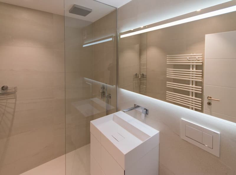Totally renovated 3.5-room apartment with garage box in a quiet cul-de-sac (6)