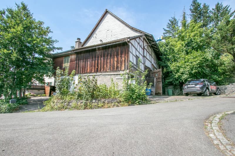 Historic residential house with renovation needs and great potential (1)