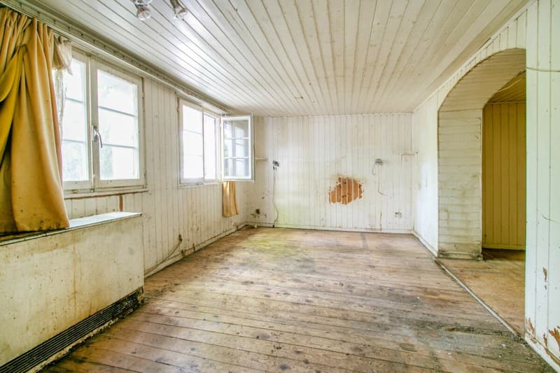 Historic residential house with renovation needs and great potential (4)