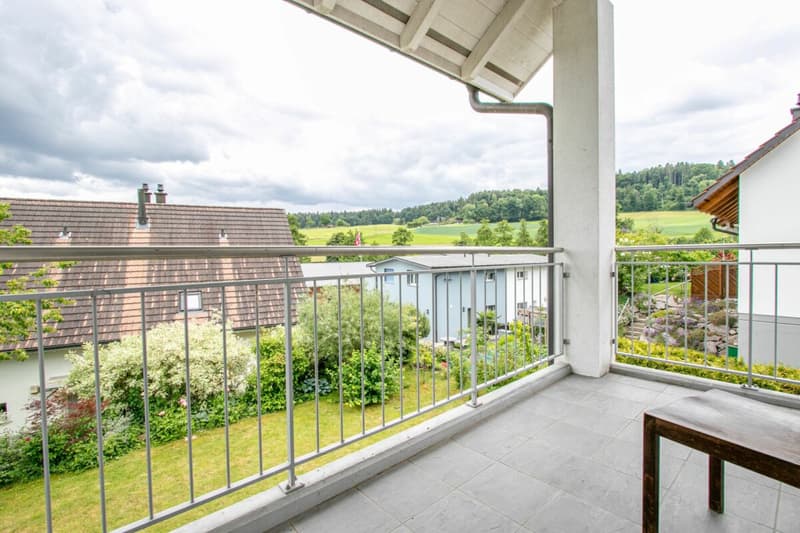 Modern and bright 6.5-room semi-detached house in a quiet location with double garage and direct house access (20)