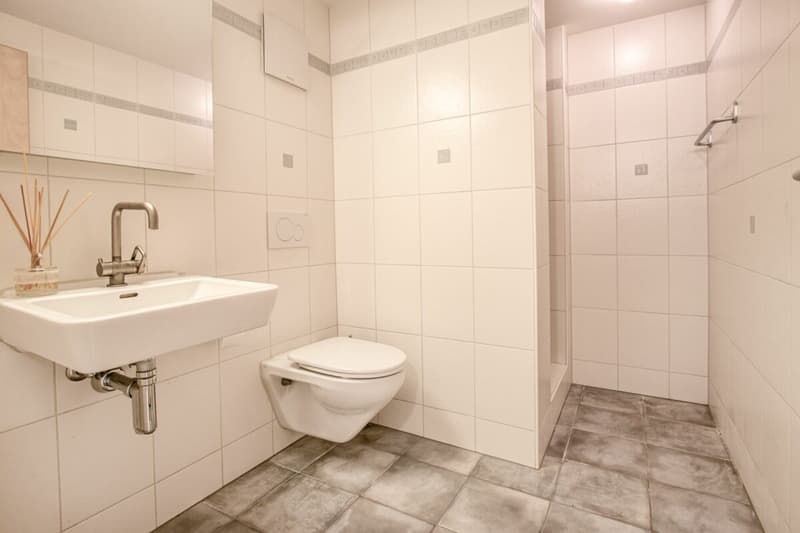 Modern and bright 6.5-room semi-detached house in a quiet location with double garage and direct house access (33)