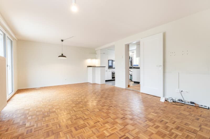 Charming 4.5 room corner single-family house with protected outdoor area and garage box (10)
