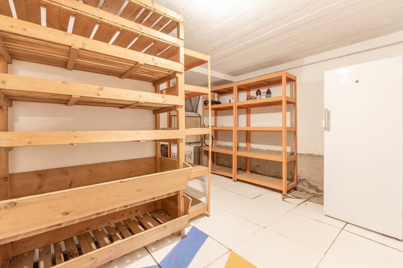 Charming 4.5 room corner single-family house with protected outdoor area and garage box (23)
