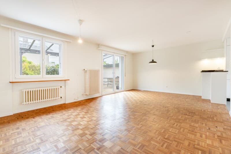 Charming 4.5 room corner single-family house with protected outdoor area and garage box (8)