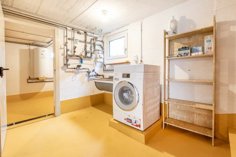 Charming 4.5 room corner single-family house with protected outdoor area and garage box (22)