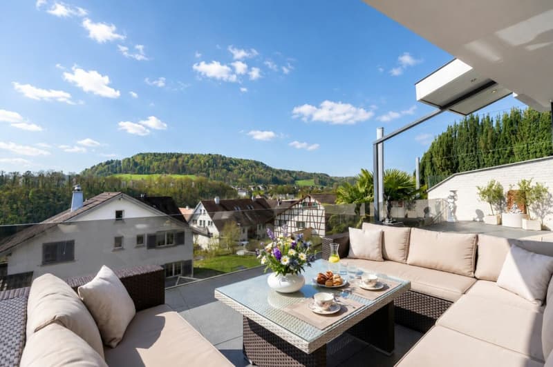 Exclusive design villa with guest apartment, pool, and spacious garage (4)