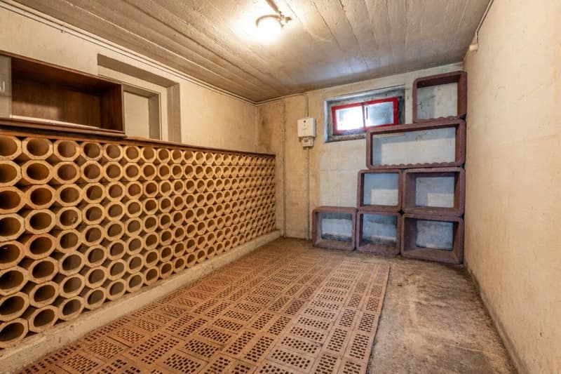 Spacious 8.5-room family house with plenty of space and potential (19)