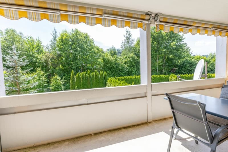 Appartamento confortevole di 3,5 locali con balcone e due posti auto sotterranei (9)