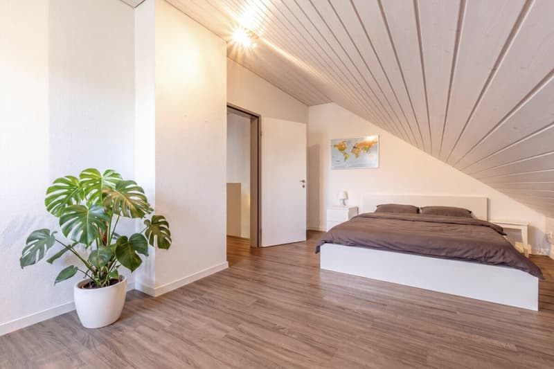 Grosszügiges 6.5-Zimmer-Doppeleinfamilienhaus mit Doppelgarage, Garten und Pool (12)
