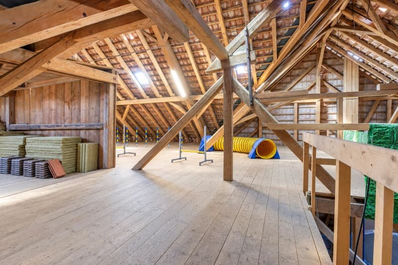 Historisches 9.5-Zimmer-Bauernhaus - stilvoll saniert, einzigartig im Charakter (27)