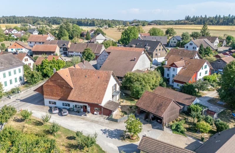 Historisches 9.5-Zimmer-Bauernhaus - stilvoll saniert, einzigartig im Charakter (1)