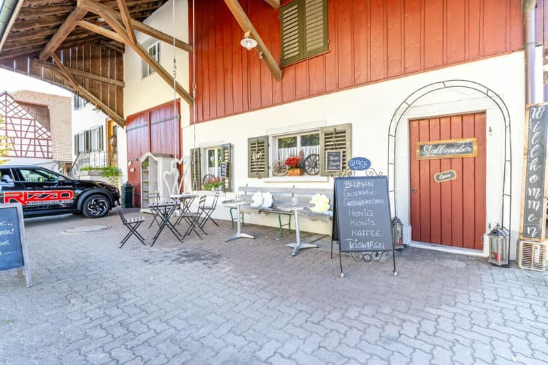 Historisches 9.5-Zimmer-Bauernhaus - stilvoll saniert, einzigartig im Charakter (21)