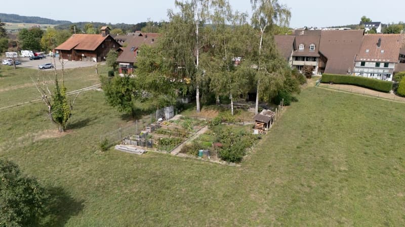 Charmante 3.5-Zimmer-Dachwohnung mit grosszügigem Gartenbereich (15)