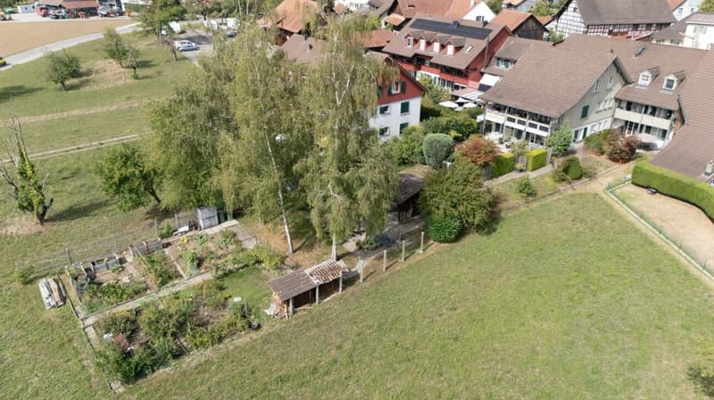 Charmante 3.5-Zimmer-Dachwohnung mit grosszügigem Gartenbereich (14)