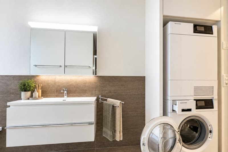 Modern wohnen in Rheinnähe - 4.5-Zimmer-Eigentumswohnung mit Minergie und einem Tiefgaragenplatz (13)