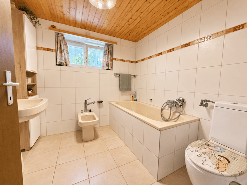 BAULAND MIT AUSSICHT UND EINFAMILIENHAUS | RENOVIEREN | ENTWICKELN (9)