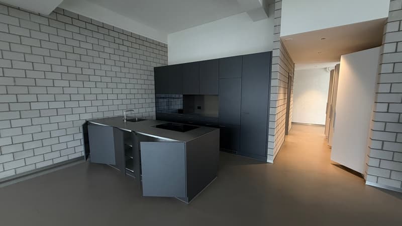 Attraktive Loftwohnungen in Zürich-Albisrieden (Nr. 21) (2)