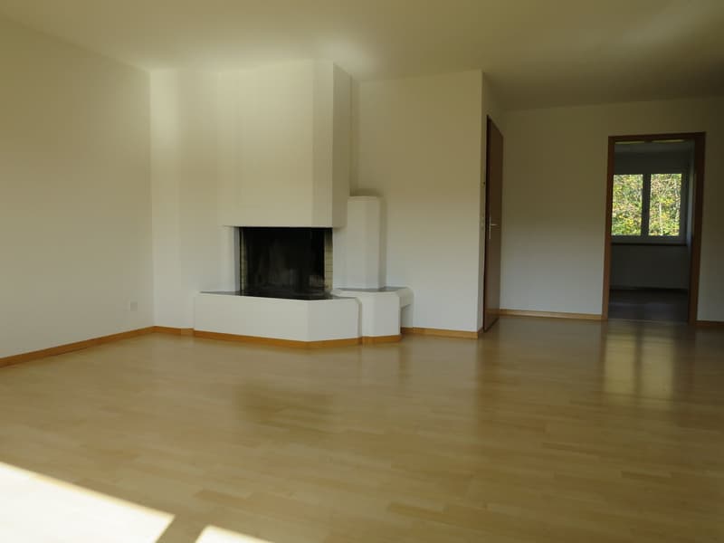 empty room, hardwood floor, fireplace, white walls