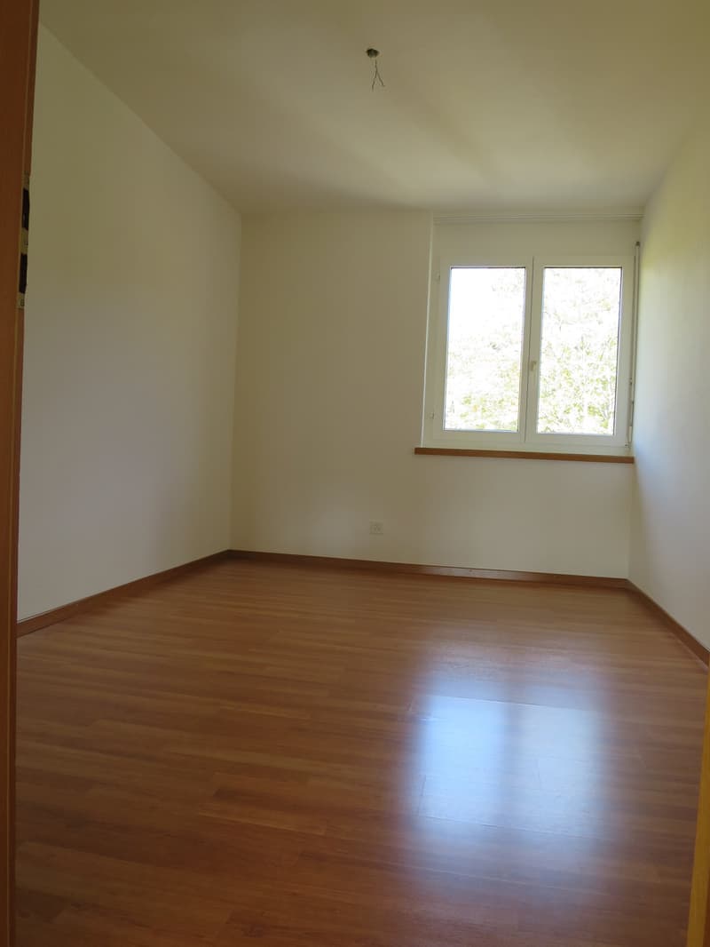 Appartement charmant de 4,5 pièces avec balcon dans un quartier résidentiel calme à Zell (6)