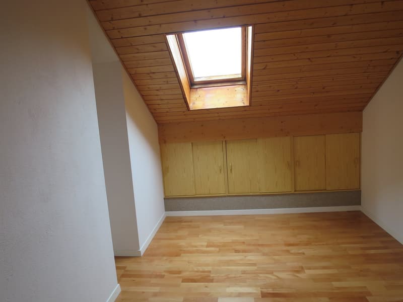 Skylight, wooden floor, built-in cabinets, white walls