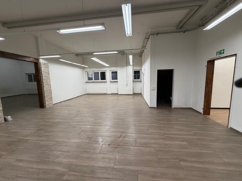 ***Central commercial premises with diverse usage possibilities*** (8)