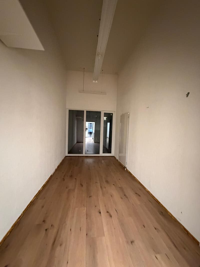 ***Central commercial premises with diverse usage possibilities*** (6)