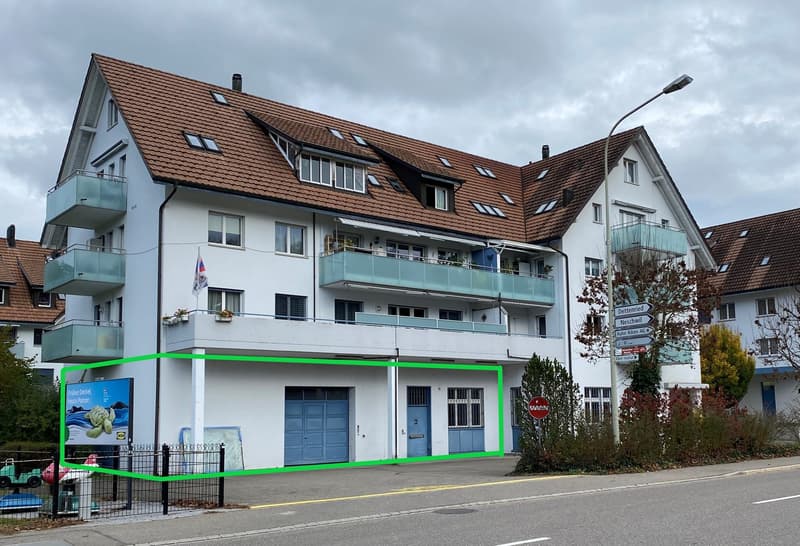 ***central commercial premises with diverse usage possibilities*** (1)