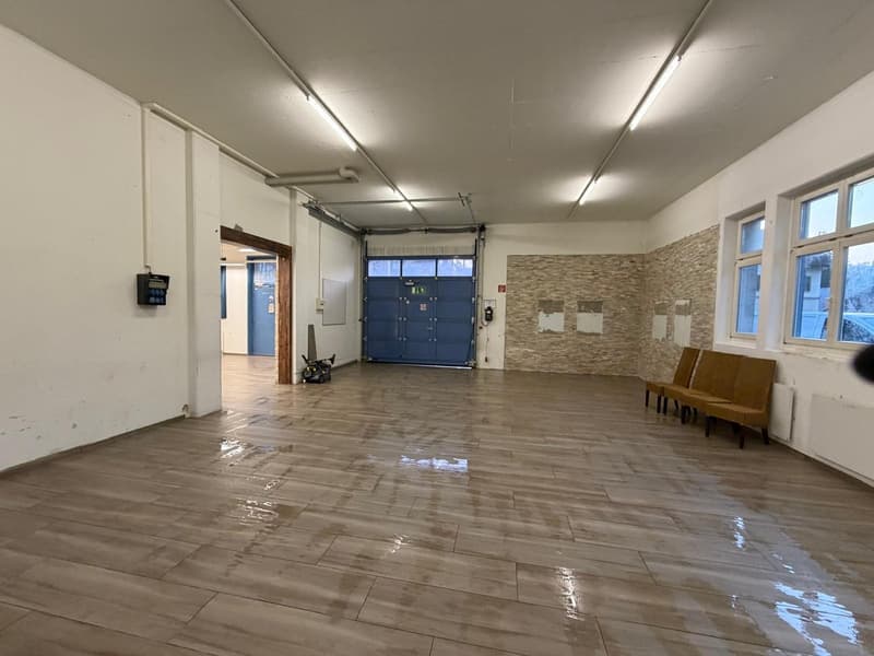 ***central commercial premises with diverse usage possibilities*** (6)