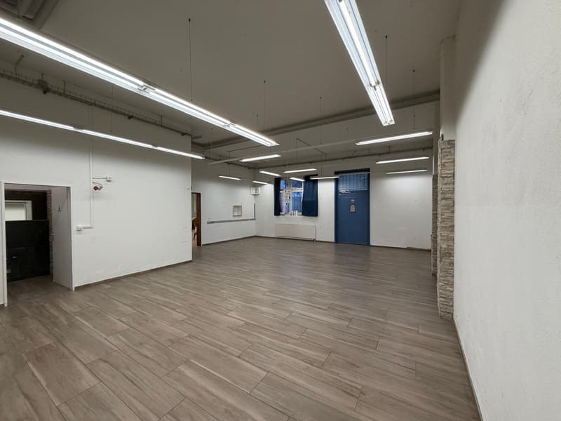 ***central commercial premises with diverse usage possibilities*** (3)