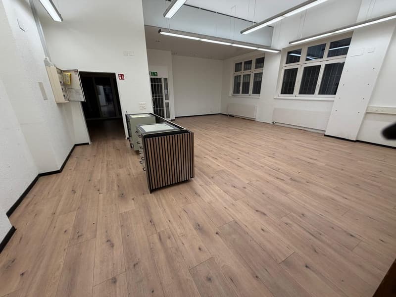***Central commercial premises with diverse usage possibilities*** (5)