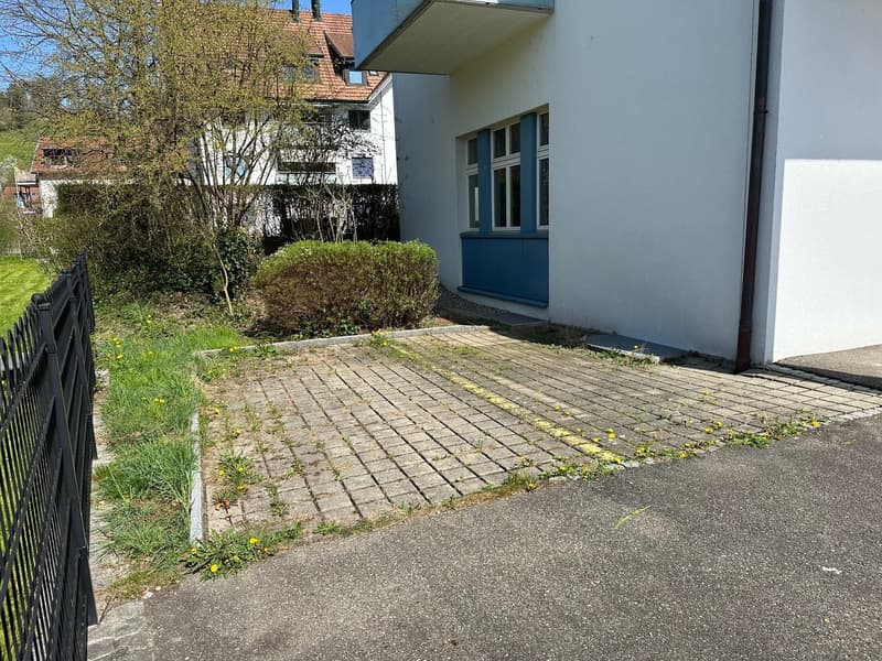 ***Central commercial premises with diverse usage possibilities*** (4)