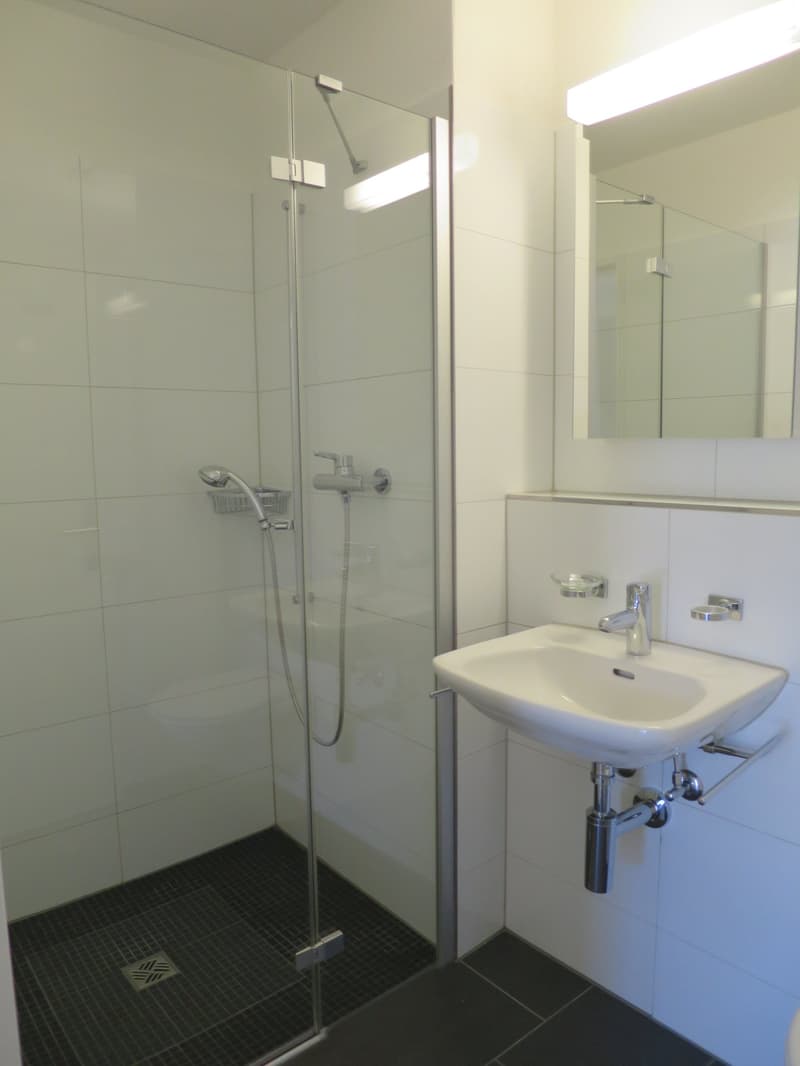 *** Appartement moderne 4.5 pièces au 2e étage dans un quartier calme à Turbenthal *** (12)