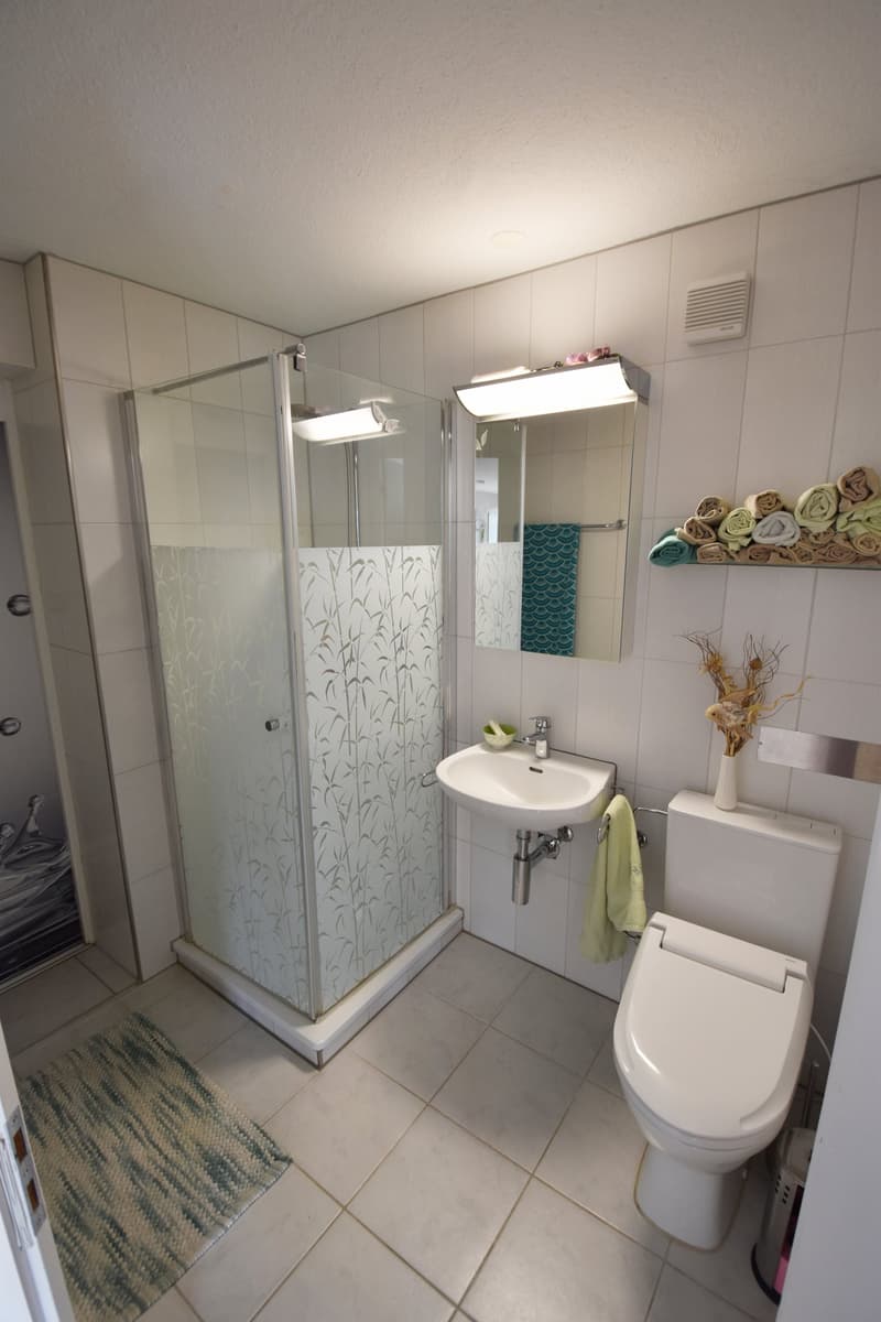 *** Exclusive Terrace House with Breathtaking Panoramic View *** (8)