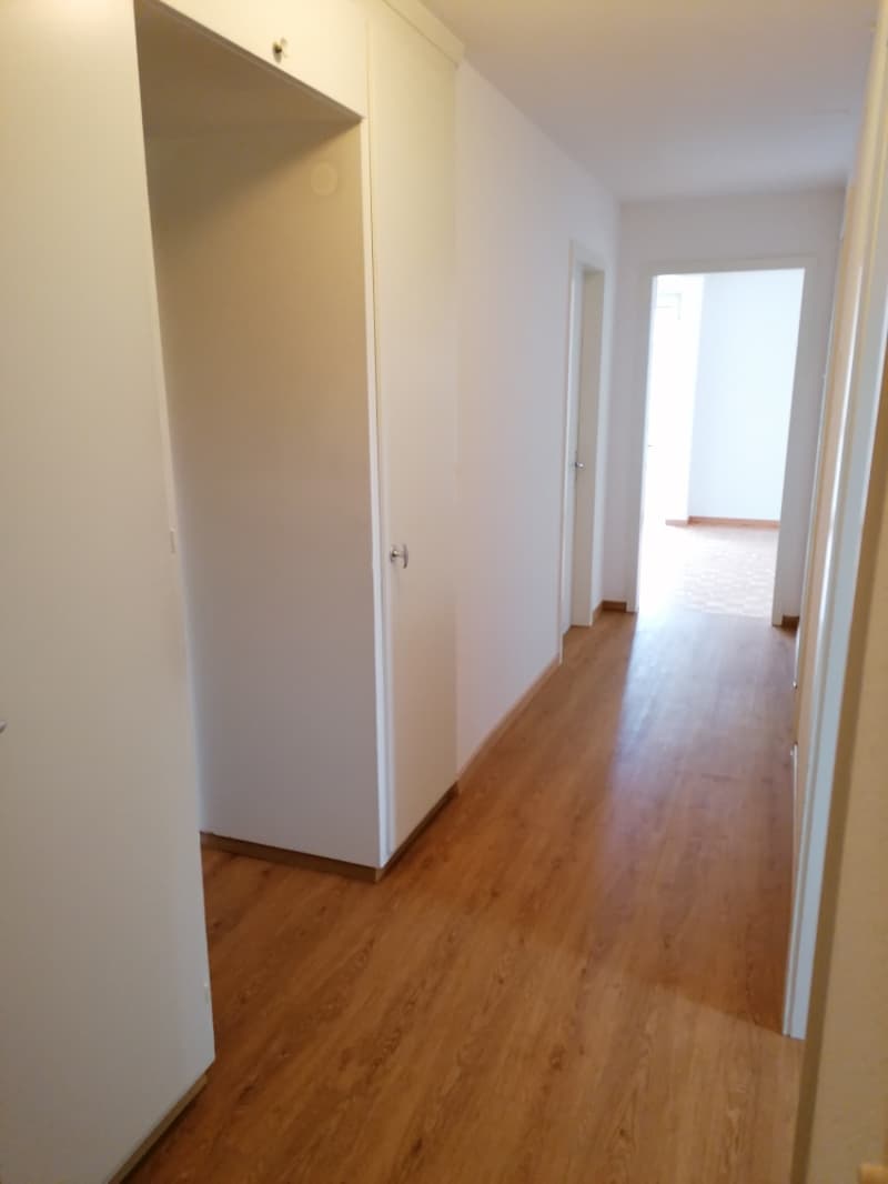 Appartamento luminoso, accogliente di 3½ locali al piano rialzato (6)