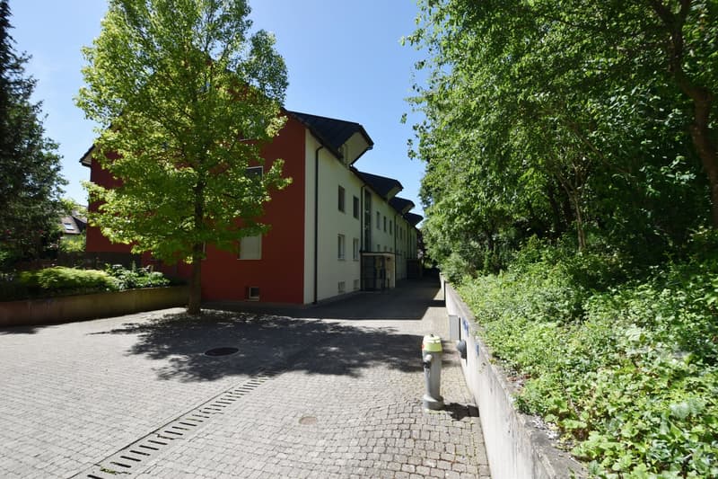 Charmante 5.5-Zimmer-Gartenwohnung an ruhiger Lage in Rikon (2)