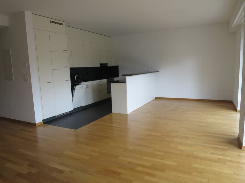 *** beautiful 3.5 room apartment with spacious seating area for rent *** (1)