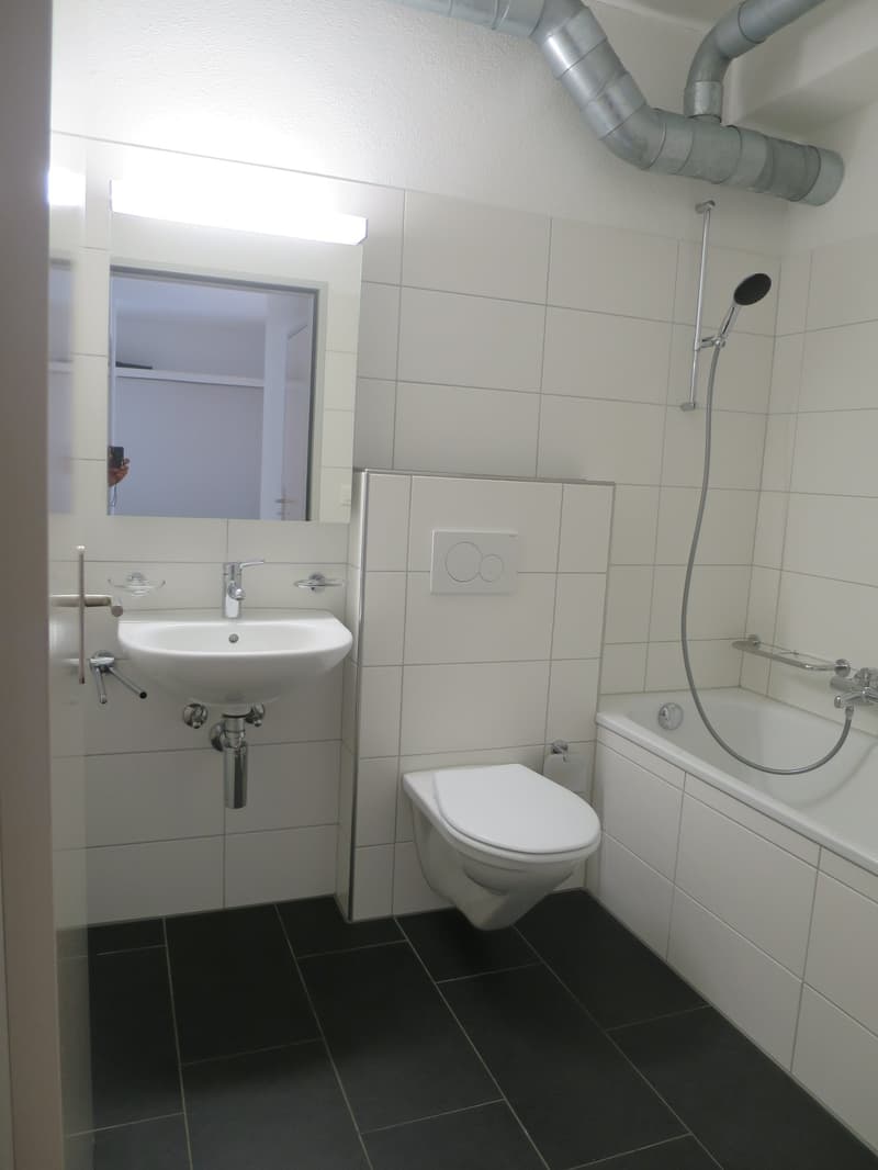 *** beautiful 3.5 room apartment with spacious seating area for rent *** (10)