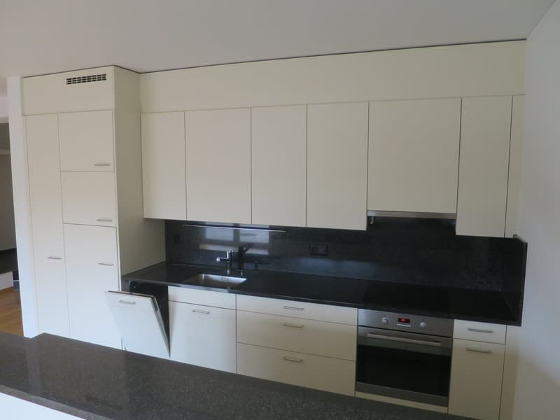 *** beautiful 3.5 room apartment with spacious seating area for rent *** (4)