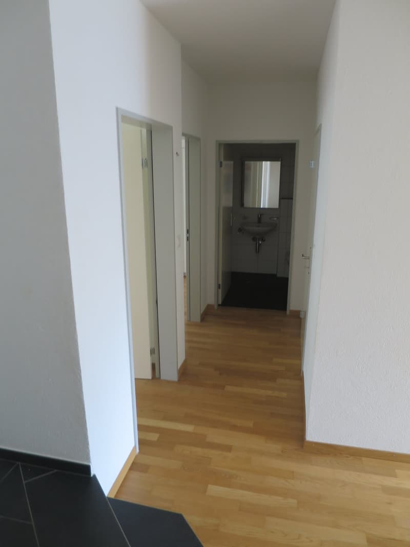 *** beautiful 3.5 room apartment with spacious seating area for rent *** (6)